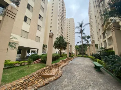 Apartamento com 3 Quartos para alugar, 65m² no Jardim Vazani, São Paulo