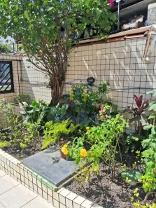 Apartamento com 2 Quartos à venda, 65m² no José Menino, Santos