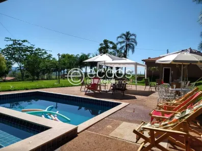 Fazenda/Sítio com 3 Quartos à venda, 190m² no Área Rural de Uberlândia, Uberlândia