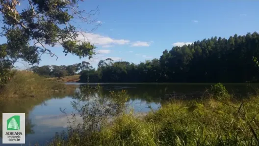Fazenda/Sítio com 3 Quartos à venda, 1000m² no Setor Industrial Munir Calixto, Anápolis