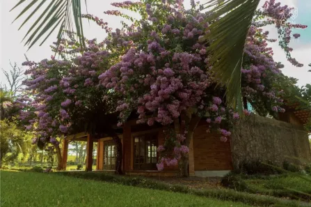 Fazenda/Sítio com 7 Quartos à venda, 1200m² no Centro, São José dos Pinhais