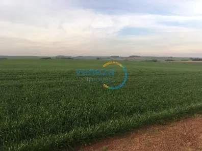 Fazenda/Sítio com 1 Quarto à venda, 302500m² no , Marilândia do Sul