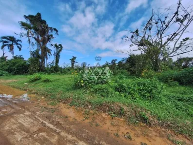 Lote/Terreno à venda, 250m² no Balneário dos Golfinhos, Caraguatatuba