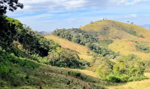 Fazenda/Sítio à venda, 5000m² no , Cambuí