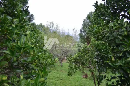 Lote/Terreno à venda, 5000m² no Várzea Grande, Gramado