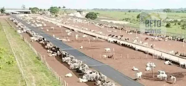 Fazenda/Sítio à venda, 46460000m² no Célio Miranda, Paragominas