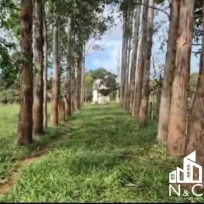 Fazenda/Sítio com 2 Quartos à venda, 240000m² no Setor Central, São Miguel do Passa Quatro