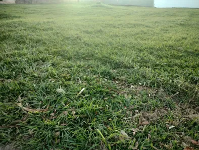 Lote/Terreno à venda, 877m² no Royal Park, Ribeirão Preto