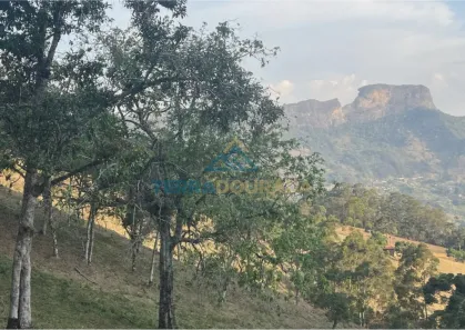 Lote/Terreno à venda, 31000m² no , São Bento do Sapucaí