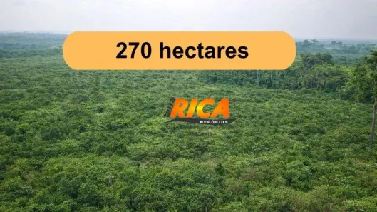 Fazenda/Sítio à venda, 2700000m² no , Cujubim