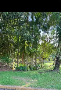 Casa com 3 Quartos à venda, 400m² no Saguaçu, Joinville