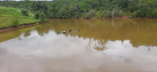 Fazenda/Sítio com 3 Quartos à venda, 400000m² no , Alexânia