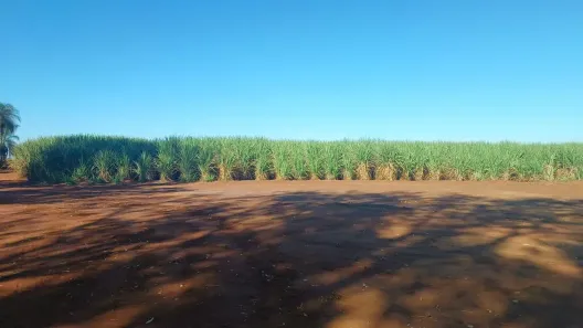 Fazenda/Sítio com 1 Quarto à venda, 387200m² no , Brodowski
