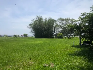 Fazenda/Sítio com 6 Quartos à venda, 229m² no , Osório