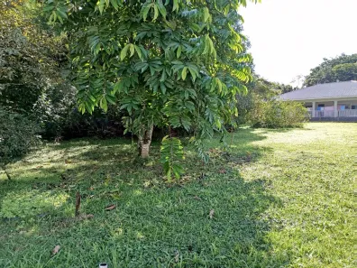 Lote/Terreno à venda, 1045m² no , Morretes