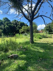 Lote/Terreno à venda, 550m² no Jardim do Alto, Ivoti