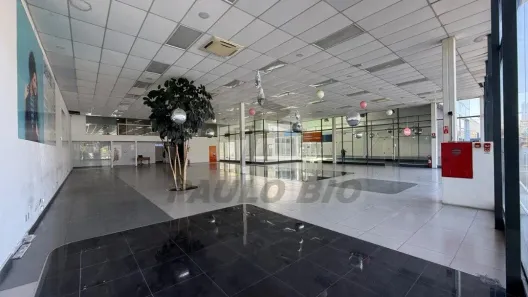 Galpão/Depósito/Armazém à venda, 2497m² no Vila Lageado, São Paulo