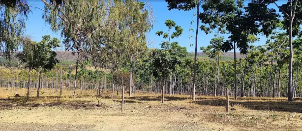 Lote/Terreno à venda, 20000m² no , Cordisburgo