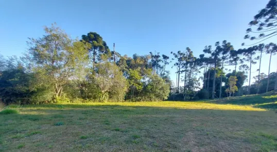 Lote/Terreno à venda, 1060m² no Rondinha, Campo Largo