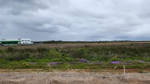 Lote/Terreno à venda, 14000m² no Fragata, Pelotas