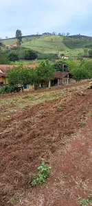 Fazenda/Sítio com 3 Quartos à venda, 6000m² no Cachoeira de Minas, Cachoeira de Minas