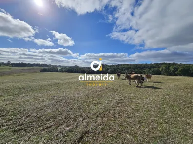 Fazenda/Sítio à venda, 210000m² no Silveira Martins, Silveira Martins