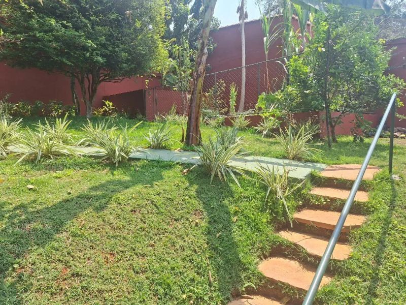 Foto 19