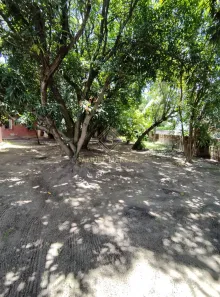Lote/Terreno à venda, 1240m² no Água Fria, Recife