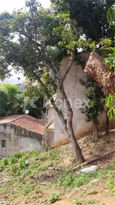 Lote/Terreno à venda, 207m² no Tucuruvi, São Paulo