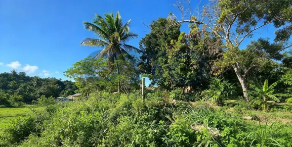 Lote/Terreno à venda, 152m² no Arraial D'Ajuda, Porto Seguro