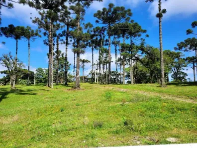 Lote/Terreno à venda, 424m² no Distrito Industrial, Canela