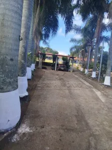 Fazenda/Sítio com 3 Quartos à venda, 300m² no Carafá, Votorantim