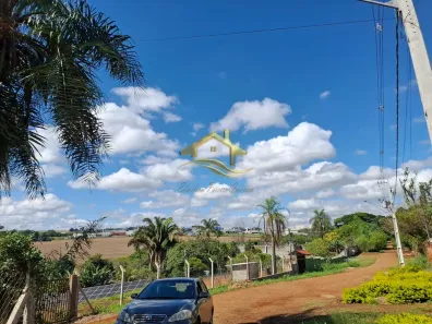 Fazenda/Sítio com 3 Quartos à venda, 7200m² no Rui Barbosa, Londrina