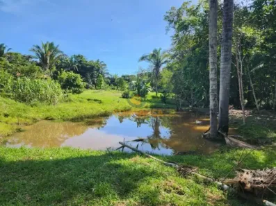 Fazenda/Sítio com 3 Quartos à venda, 50000m² no Área Rural de Porto Velho, Porto Velho