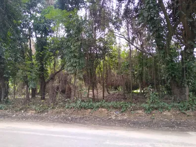 Lote/Terreno à venda, 730m² no Campo Grande, Rio de Janeiro