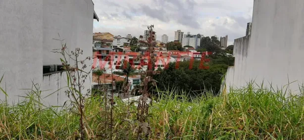 Lote/Terreno à venda, 350m² no Jardim Franca, São Paulo
