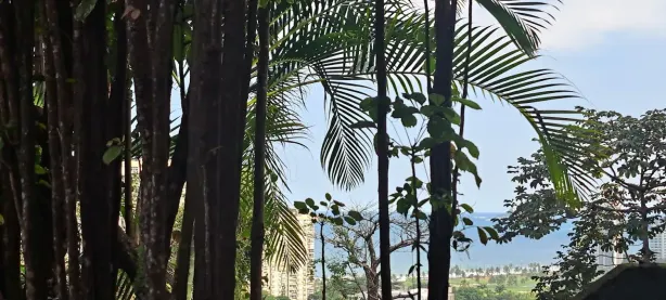 Casa com 4 Quartos à venda, 493m² no São Conrado, Rio de Janeiro