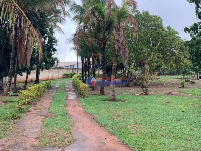 Fazenda/Sítio com 5 Quartos à venda, 7000m² no Vila Azul (Zona Rural), São José do Rio Preto