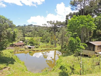 Fazenda/Sítio com 2 Quartos à venda, 2651420m² no Taquari, Campina Grande do Sul