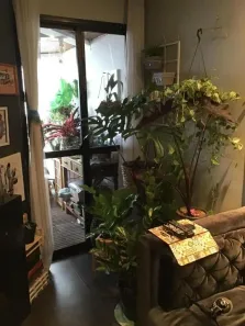 Apartamento com 3 Quartos à venda, 70m² no Vila Brasílio Machado, São Paulo