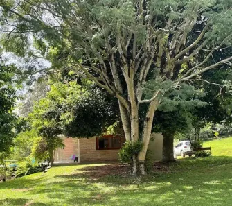 Fazenda/Sítio com 2 Quartos à venda, 150m² no Campestre, São Leopoldo