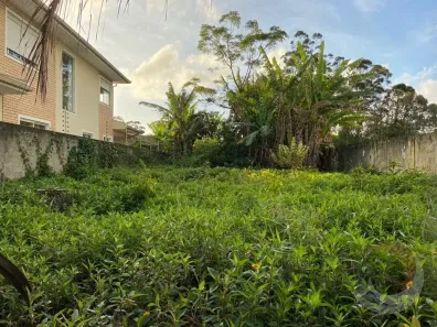 Lote/Terreno à venda, 360m² no Santa Mônica, Florianópolis