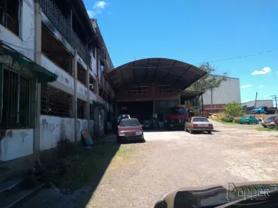 Lote/Terreno à venda, 1038m² no Pátria Nova, Novo Hamburgo
