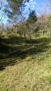 Fazenda/Sítio com 1 Quarto à venda, 20000m² no Vila Cristina, Caxias do Sul