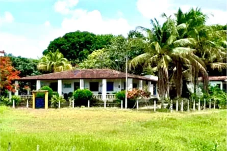 Fazenda/Sítio com 5 Quartos à venda, 43700m² no Centro, São Luís do Quitunde