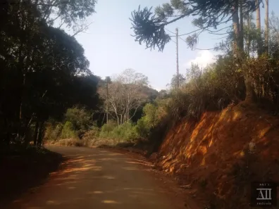 Fazenda/Sítio à venda, 43560m² no Mandirituba, Mandirituba