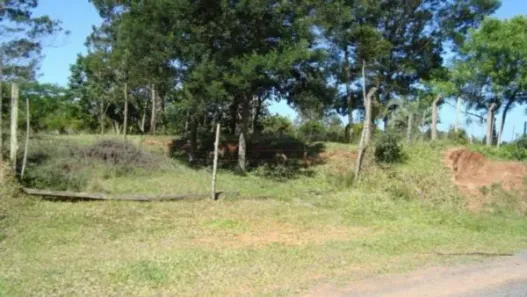 Lote/Terreno à venda, 1215m² no Águas Mortas, Gravataí