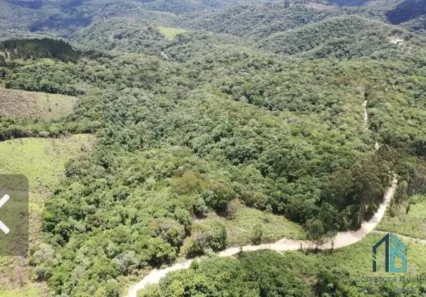 Lote/Terreno à venda, 256465m² no Centro, Campo Largo