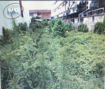 Lote/Terreno à venda, 600m² no Jardim São Francisco, Cubatão