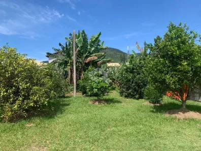 Lote/Terreno à venda, 450m² no Ratones, Florianópolis